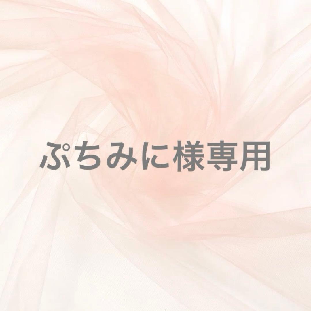 ぷちみに ぷちみに〜Puchi miniyon〜 (@Puchiminiyon) / Posts / X