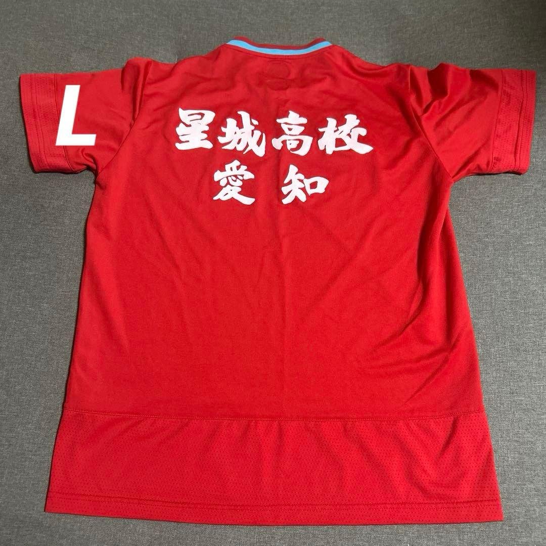 犬*柴様 バドミントンヨネックスユニフォーム日本代表サイズL星城高校