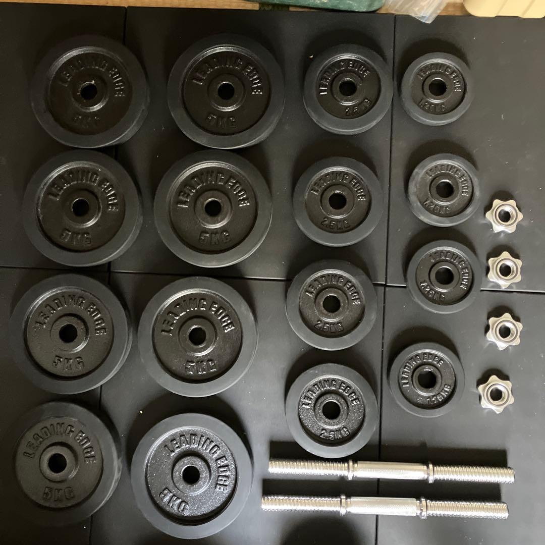 リーディングエッジ　ダンベル　30kg×2 リーディングエッジ(LeadingEdge)のアイアンダンベルを使い続けた