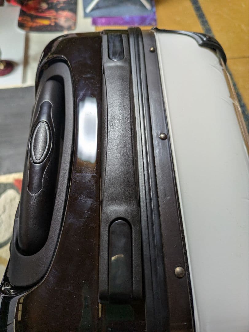 柏崎星奈　僕は友達が少ない　アニメキャラクター キャリーカート　キャリーケース