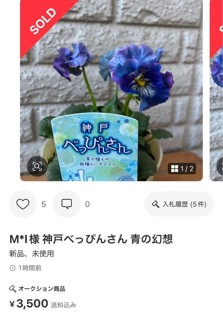 MIYABI メルカリ便 6苗