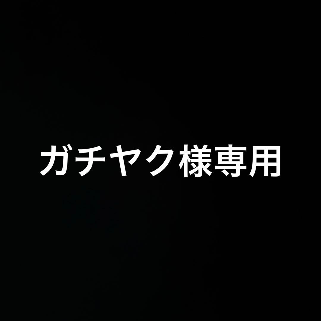 専用ページ リュック ace. GENE LABEL エースジーン ビジネスリュック バックパック 前持ち