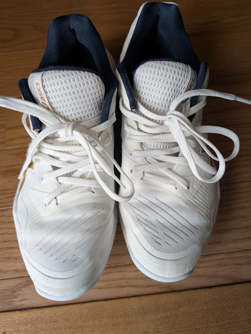 スカイエリートff3 26センチ 中古 - メルカリ