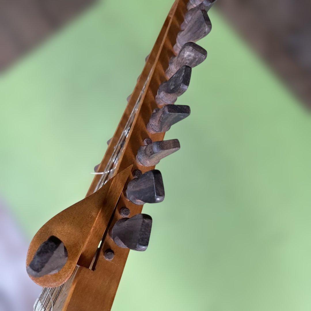 川*獺様 ARIA ルネサンスリュート 10コース アリア 門野厳 - メルカリ