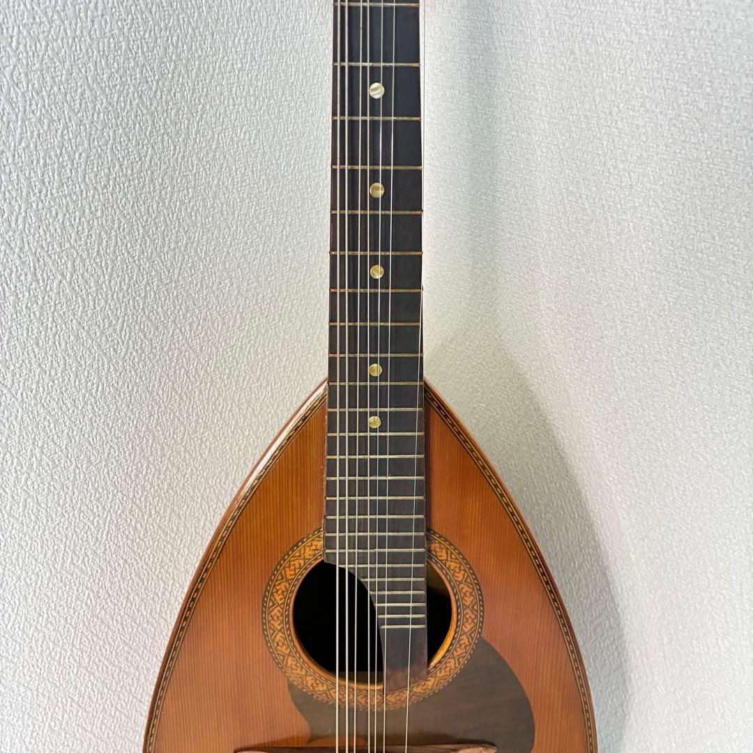 マンドリン SUZUKI M-210 鈴木 スズキ - メルカリ