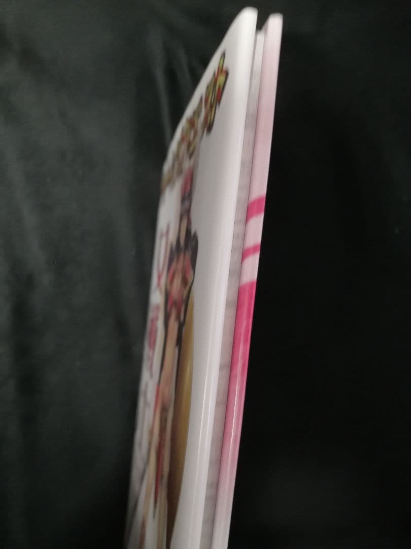 美品　激レア　ドラク工 クイーンズ クエスト 女戦士ステラ ありすの宝箱 水龍敬