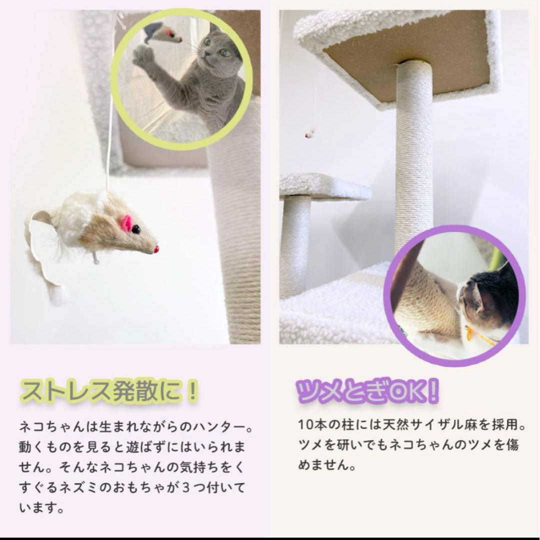 ともこさま限定