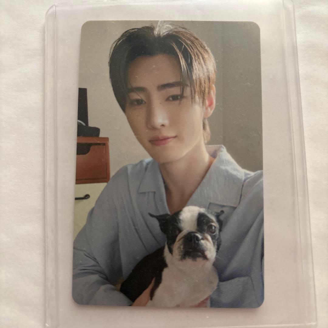 ENHYPEN アンケートトレカ 2025 SUNGHOON - メルカリ