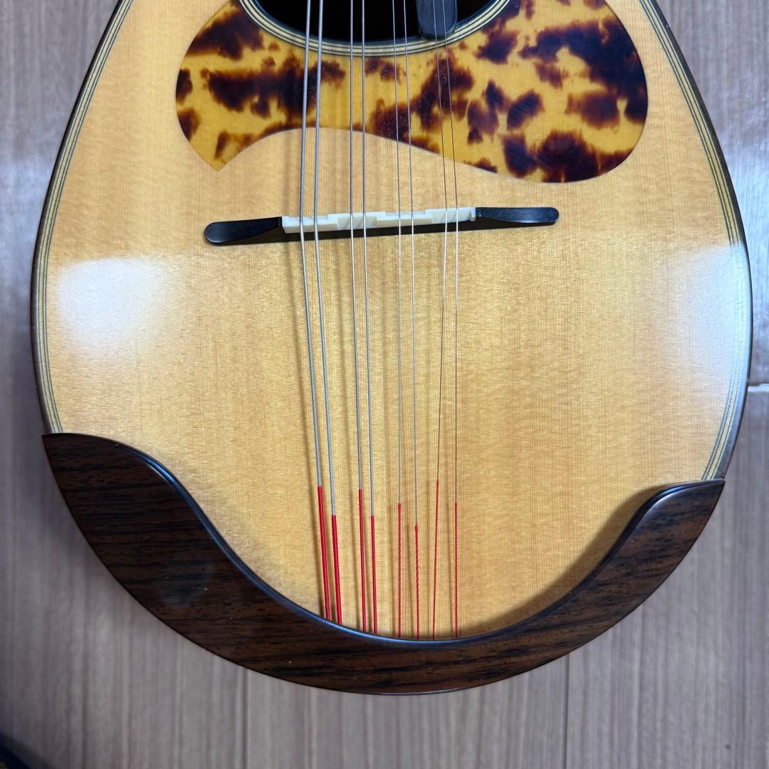 美品】宮野マンドリン M-1 ローズウッドボディ マンドリンケース 弦