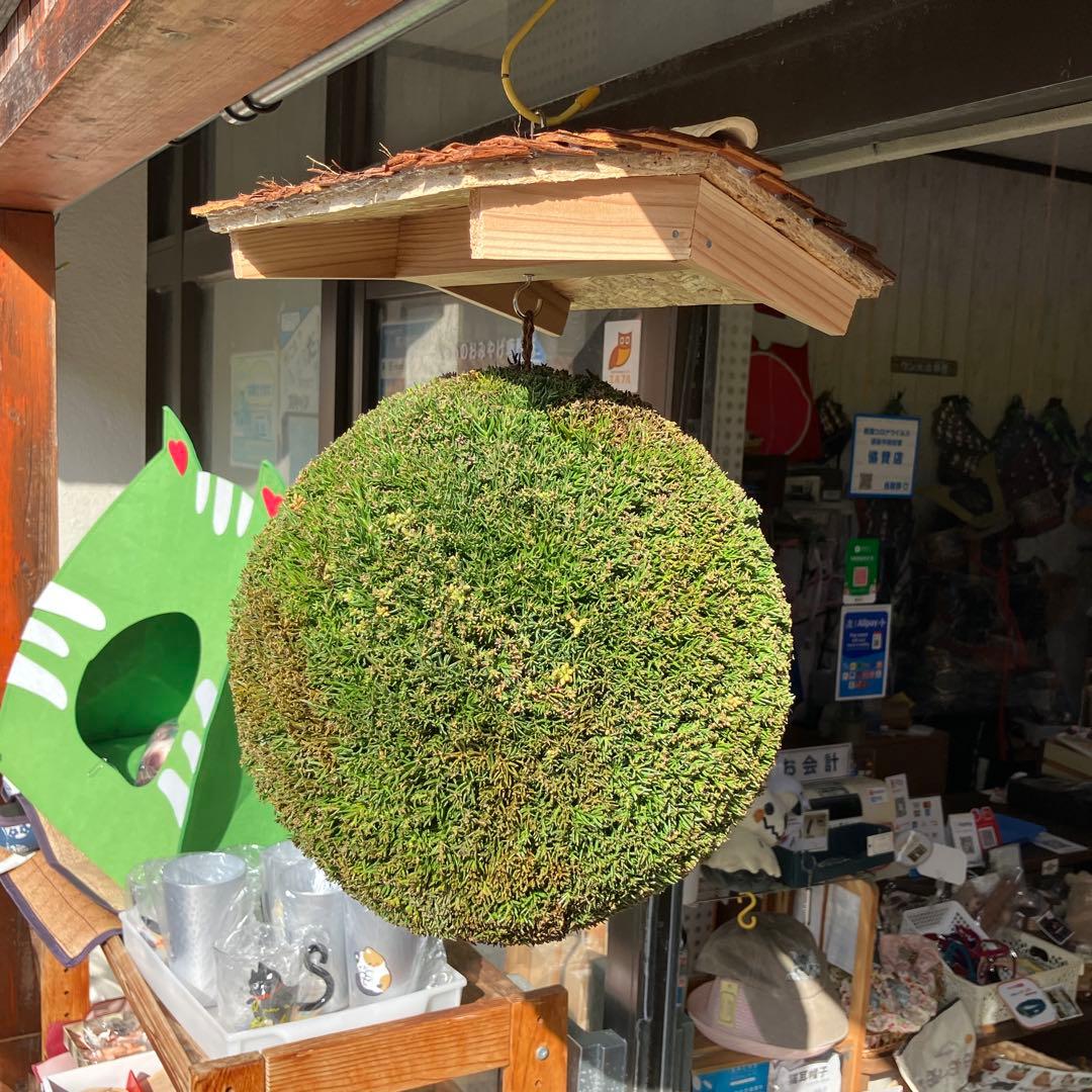 杉玉【屋根付き】④ - メルカリ