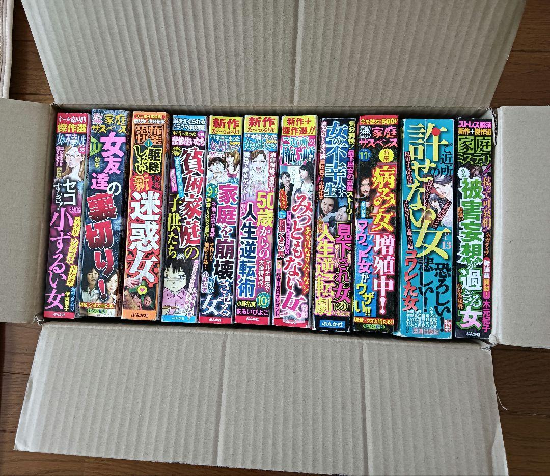レディースコミック 11冊 - メルカリ
