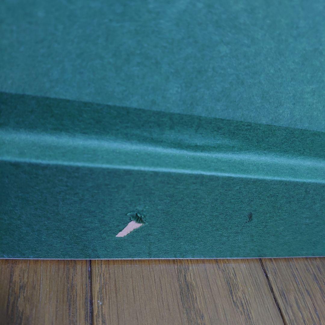 5000円値下げ】トレンツ・リャド「アルファビア庭園」遺族サイン