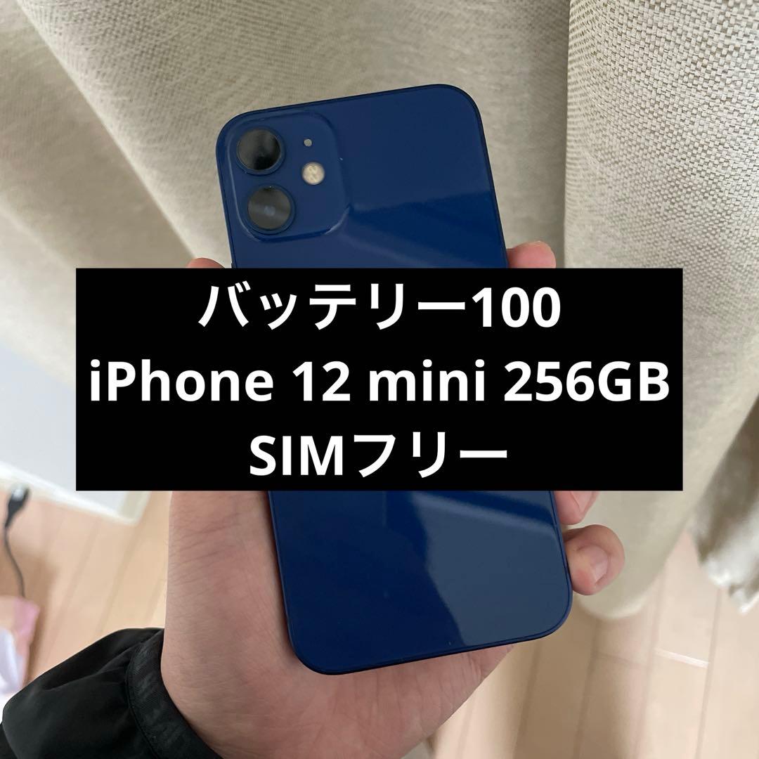 バッテリー100 iPhone 12 mini ブルー 256gb simフリー - メルカリ