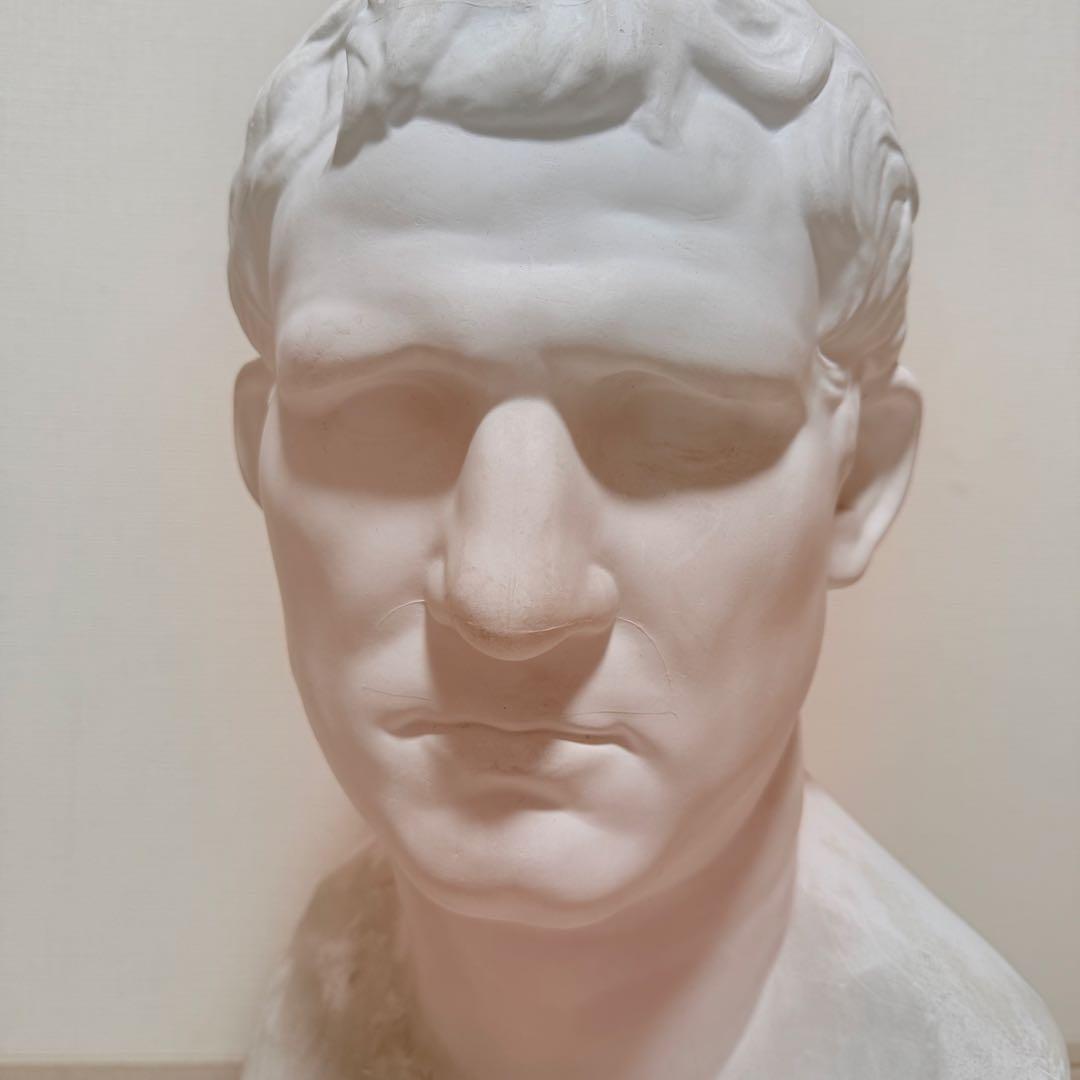 石膏像 ACRIPPA アグリッパ 首像 デザイン 美術 インテリア 置物