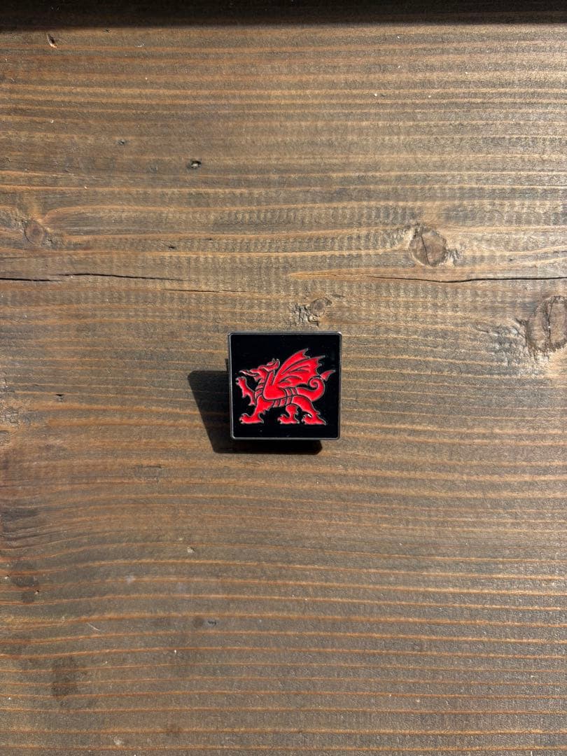 大阪•関西万博 イギリスパビリオン　ウェールズピンバッジ　非売品 大阪 関西万博 2025 イギリス パビリオン ピンバッジ pix セット