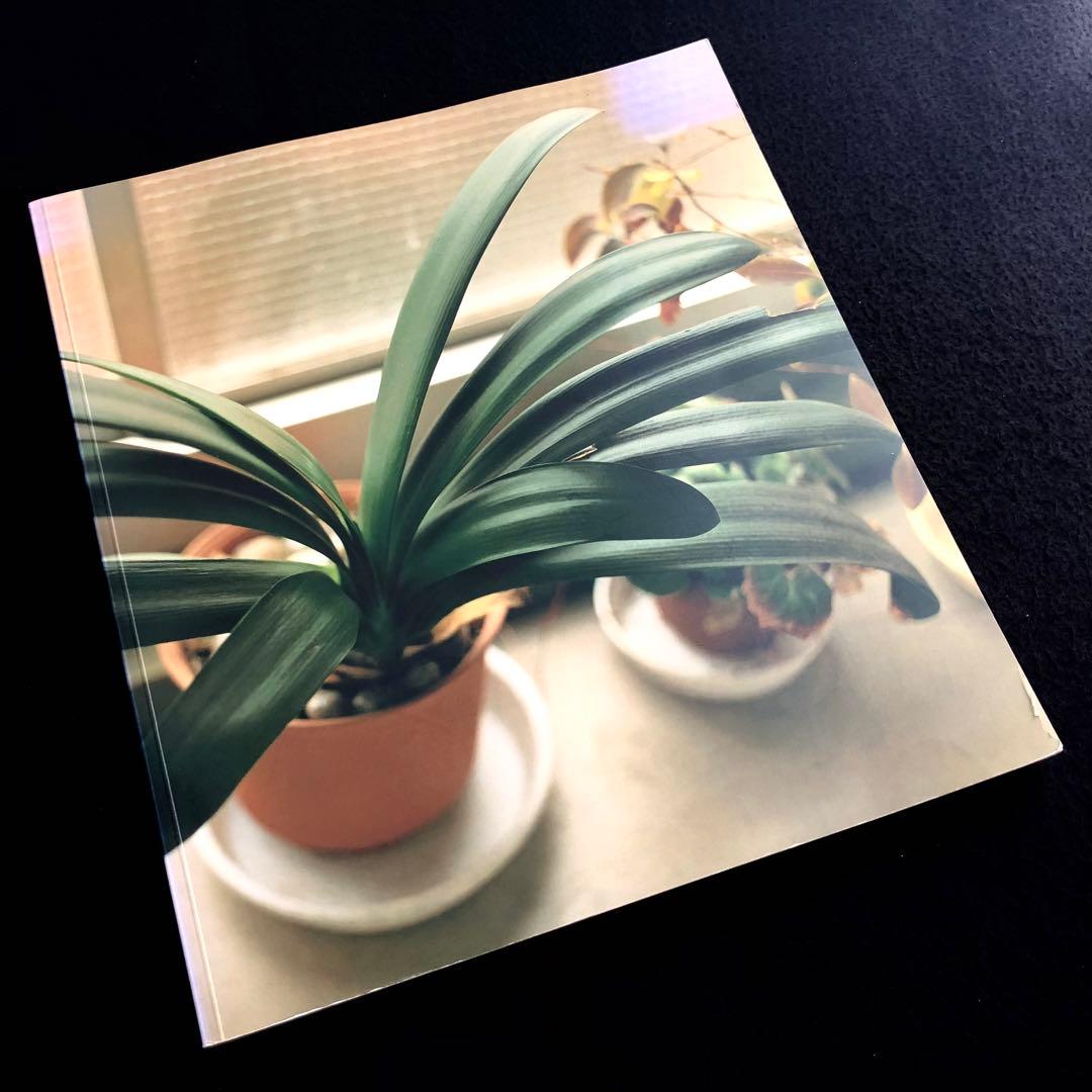 佐内正史 写真集「生きている」2001年 第二版 青幻舎