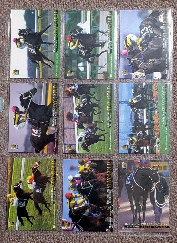 第114回目黒記念 勝馬ステイゴールド単勝馬券・レープロ・カードセット