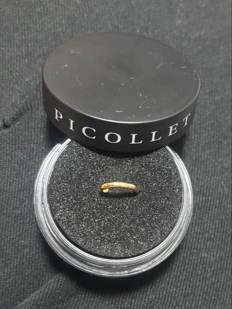 z*読様 PICOLLET 18k セグメントリング 14G 6.5mm フープ