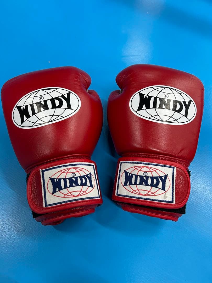 WINDY ボクシンググローブ 10 oz 赤 楽天市場】【送料無料】Windy ウィンディー ボクシンググローブ 8 10