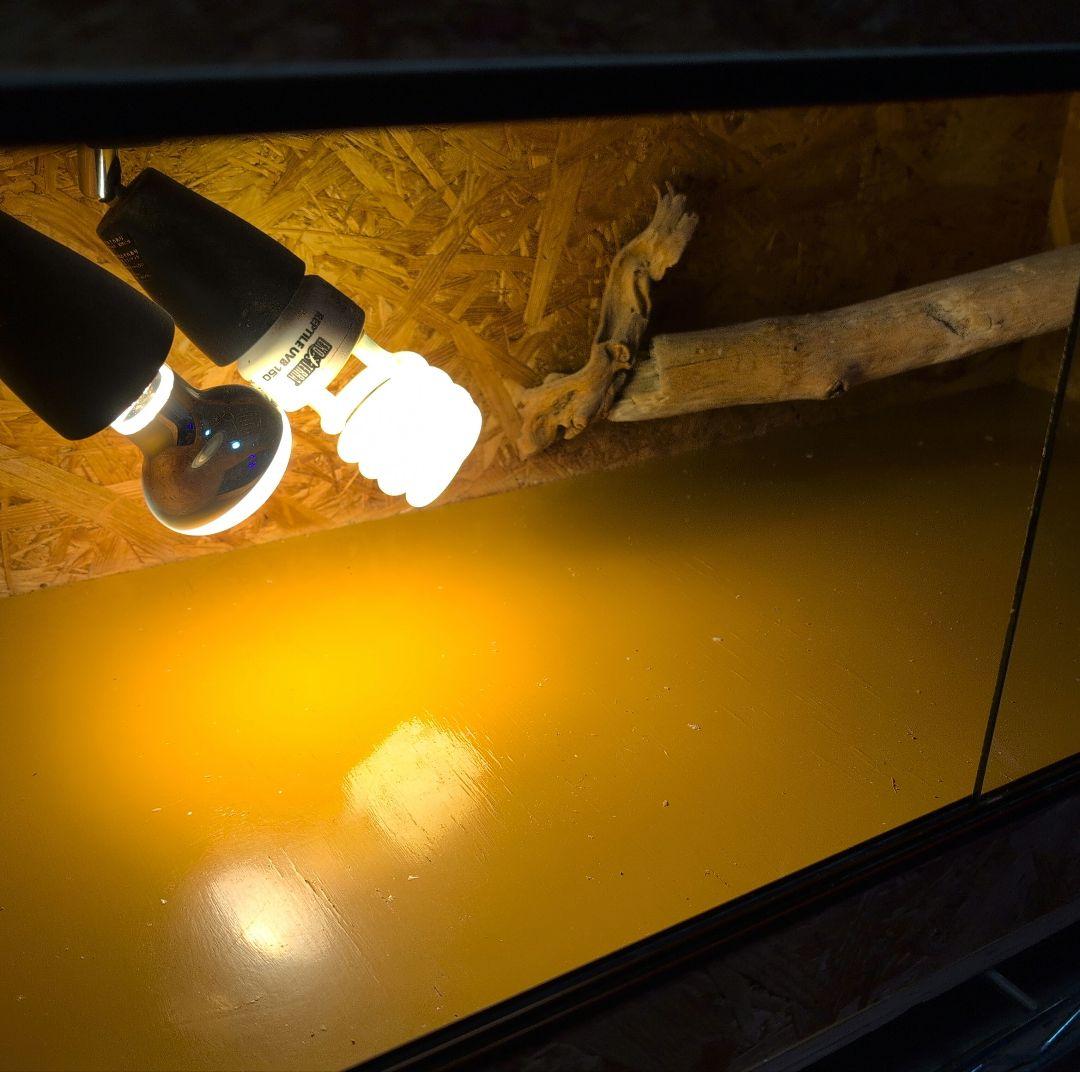 低 価格ペット用品 - 中型爬虫類飼育ケージ ランプステー、登り木付き