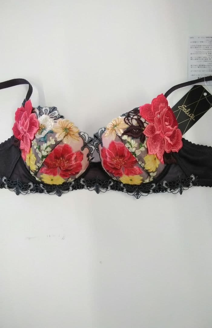 Salute◇93G◇P-upBra &ソングM Lサイズ♥ - メルカリ