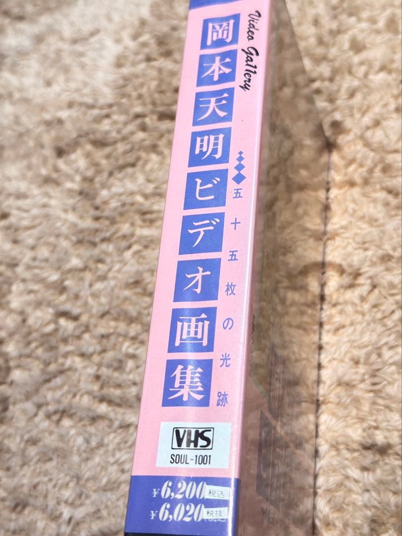 【mist2020】専用 岡本天明ビデオ画集 VHS