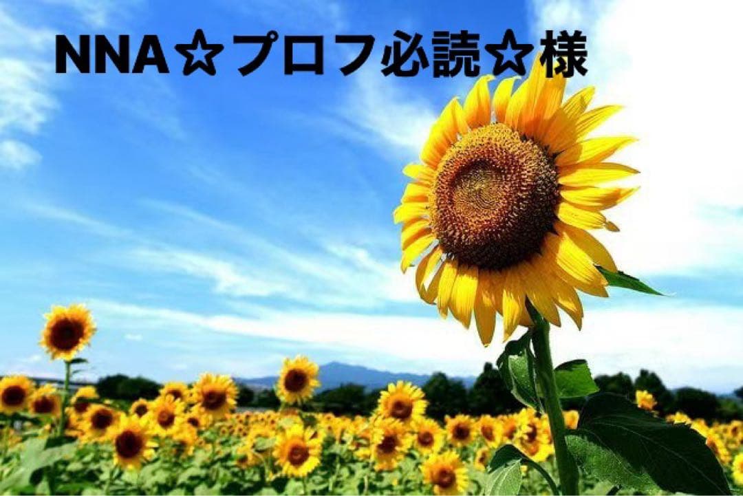NNA☆プロフ必読☆様