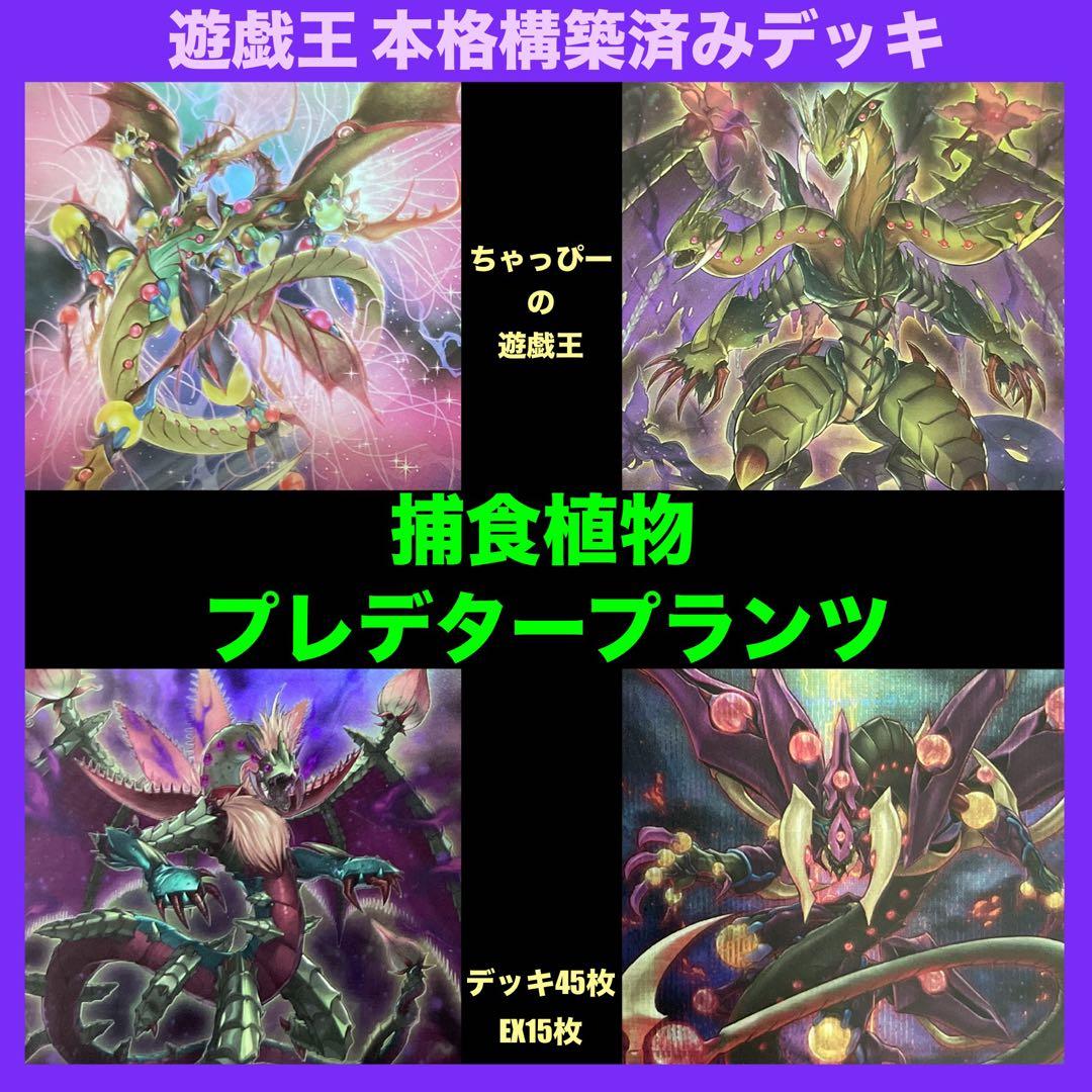 捕食植物 プレデタープランツ 本格構築済み デッキ オフリススコーピオ