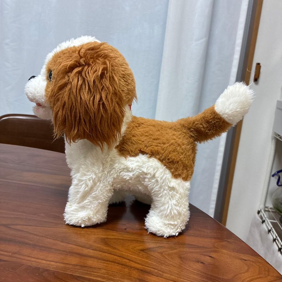 茶色と白の犬のぬいぐるみ - メルカリ