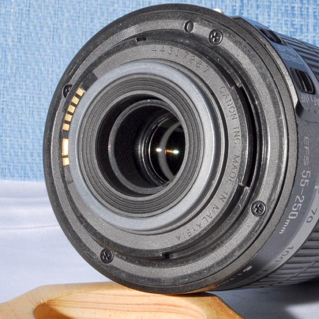 ✨手ブレ補正機能付き ✨EF-S 55-250mm f/4-5.6 IS