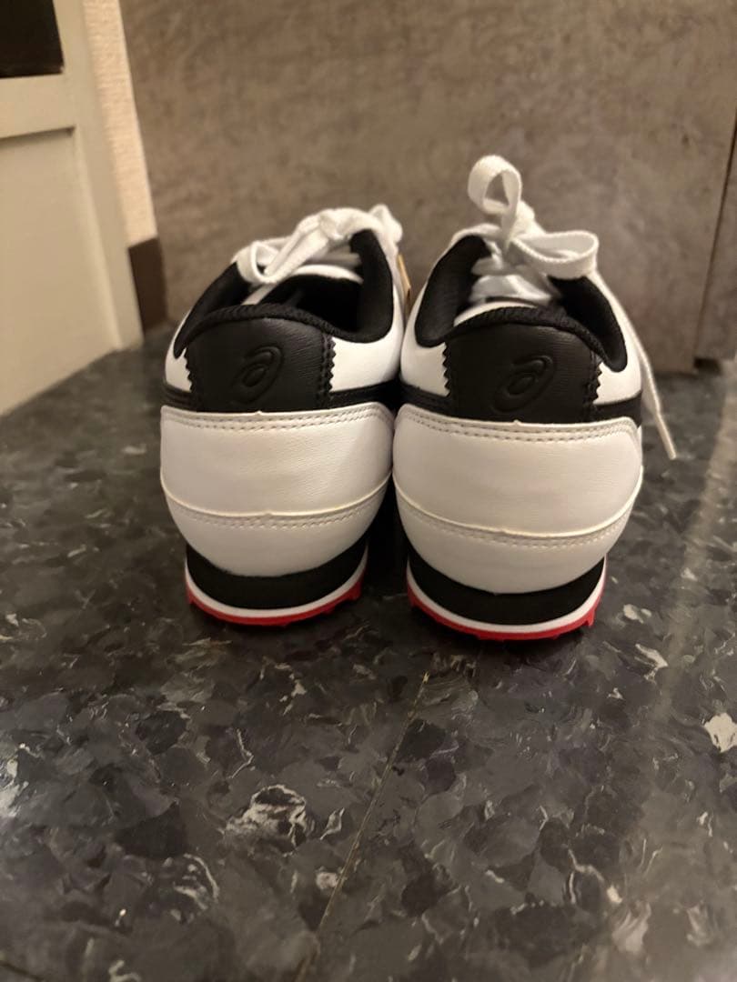 【新品】アシックス　ゴルフシューズ　25.0cm