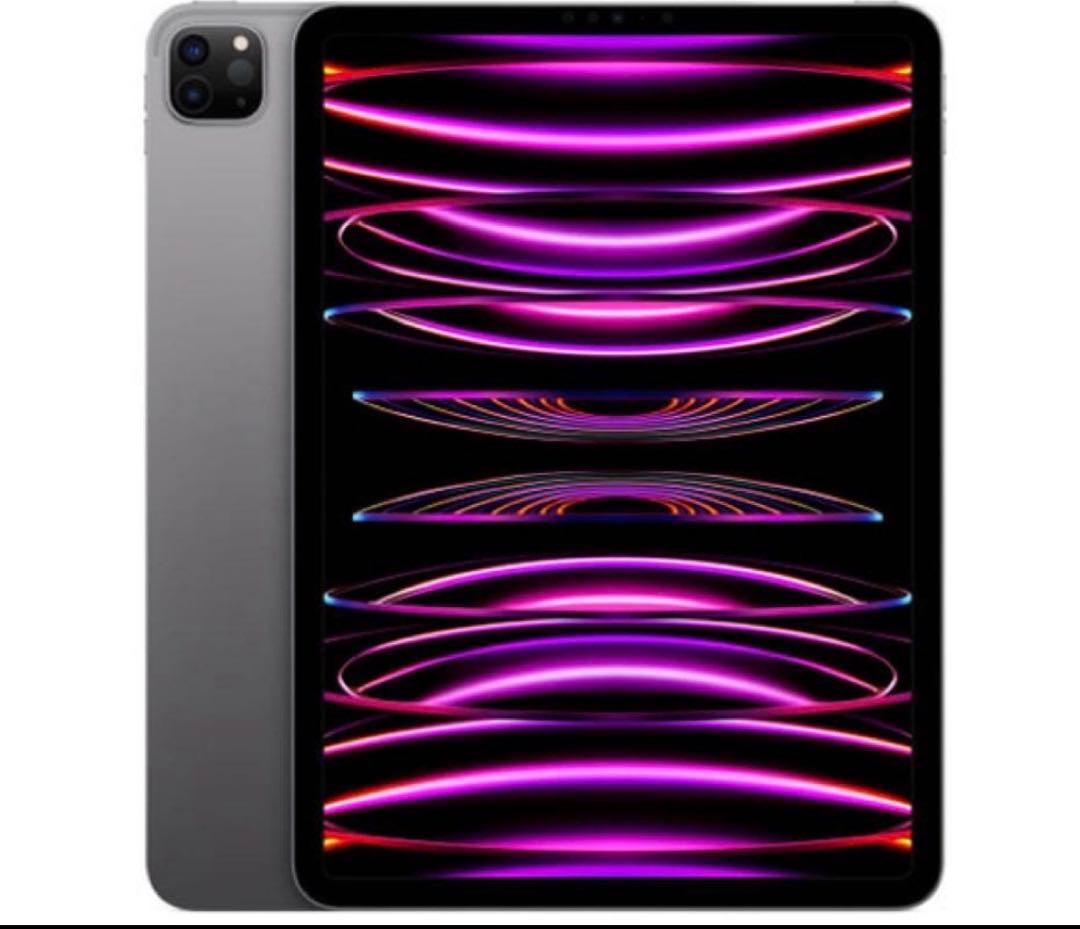 iPad Pro 11インチ　第4世代　Wi-Fi+Cellular Apple iPad Pro 11インチ 第4世代 Wi-Fi+Cellular 2TB 2022年秋モデル