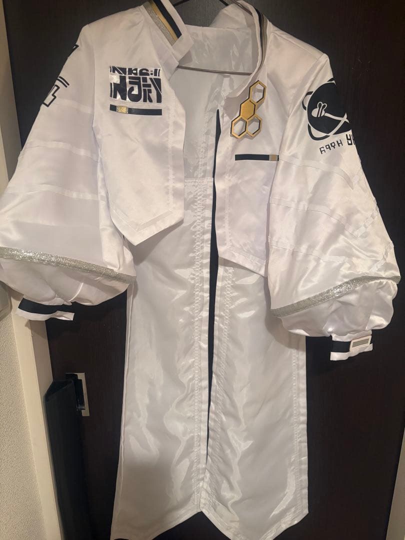 【売り切りたい為値下げ】にじさんじ 緋八マナ フルセット ヒロス ウィッグセット