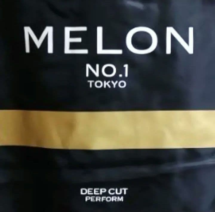 MELON MA1 TycoonTosh MA1 中西俊夫 affa - メルカリ