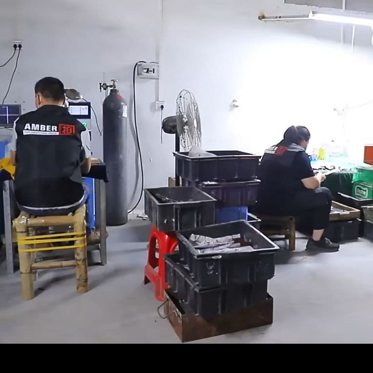 md プレゼントなし