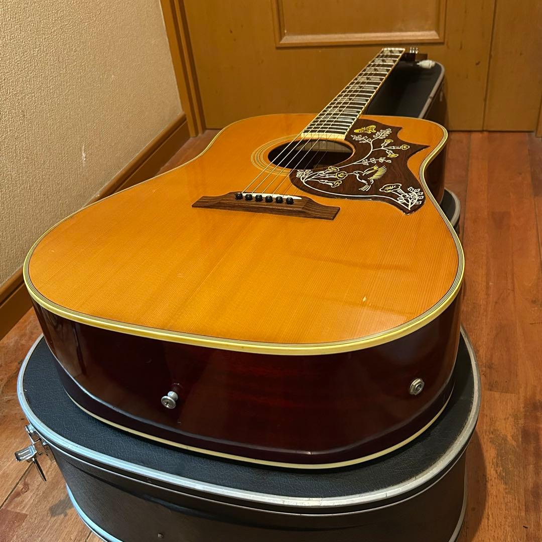 ♡*様 超レア！Orville by Gibson HUMMINGBIRDエレア - メルカリ