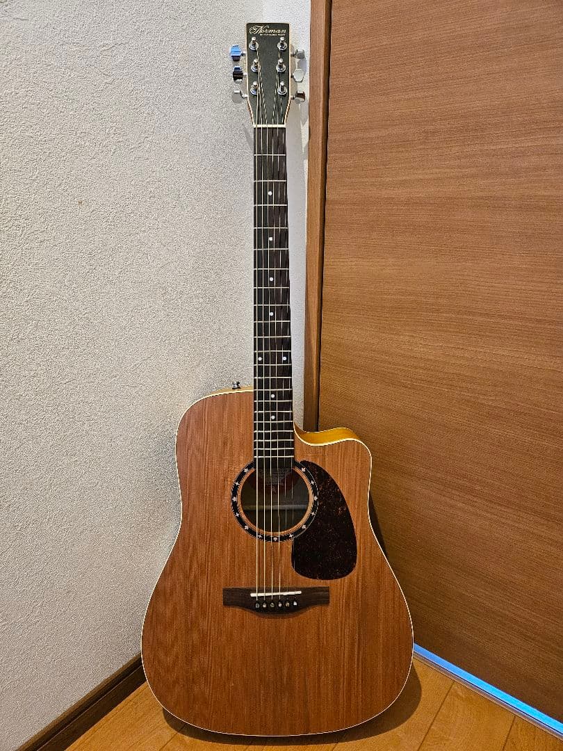 ギター NORMAN B18 CW (fishman presys) Norman Protege B18 CW Cedar Black Presys Acoustic Electric Guitar