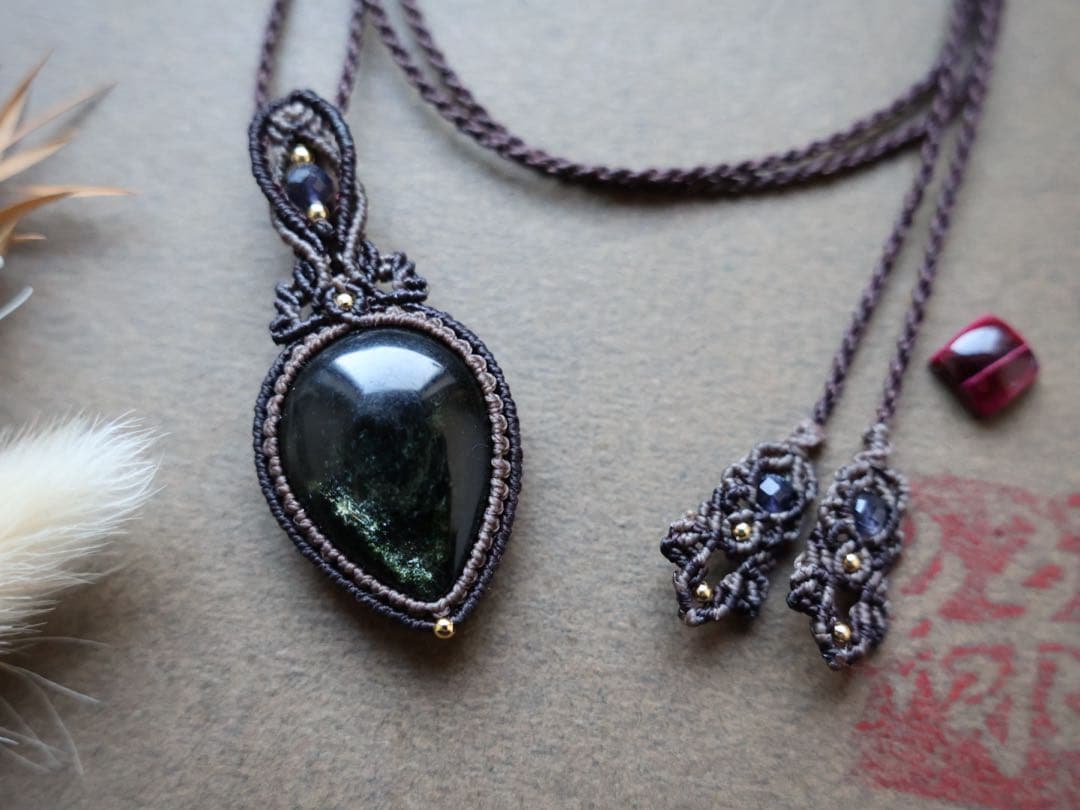 でんちゃん 11/8