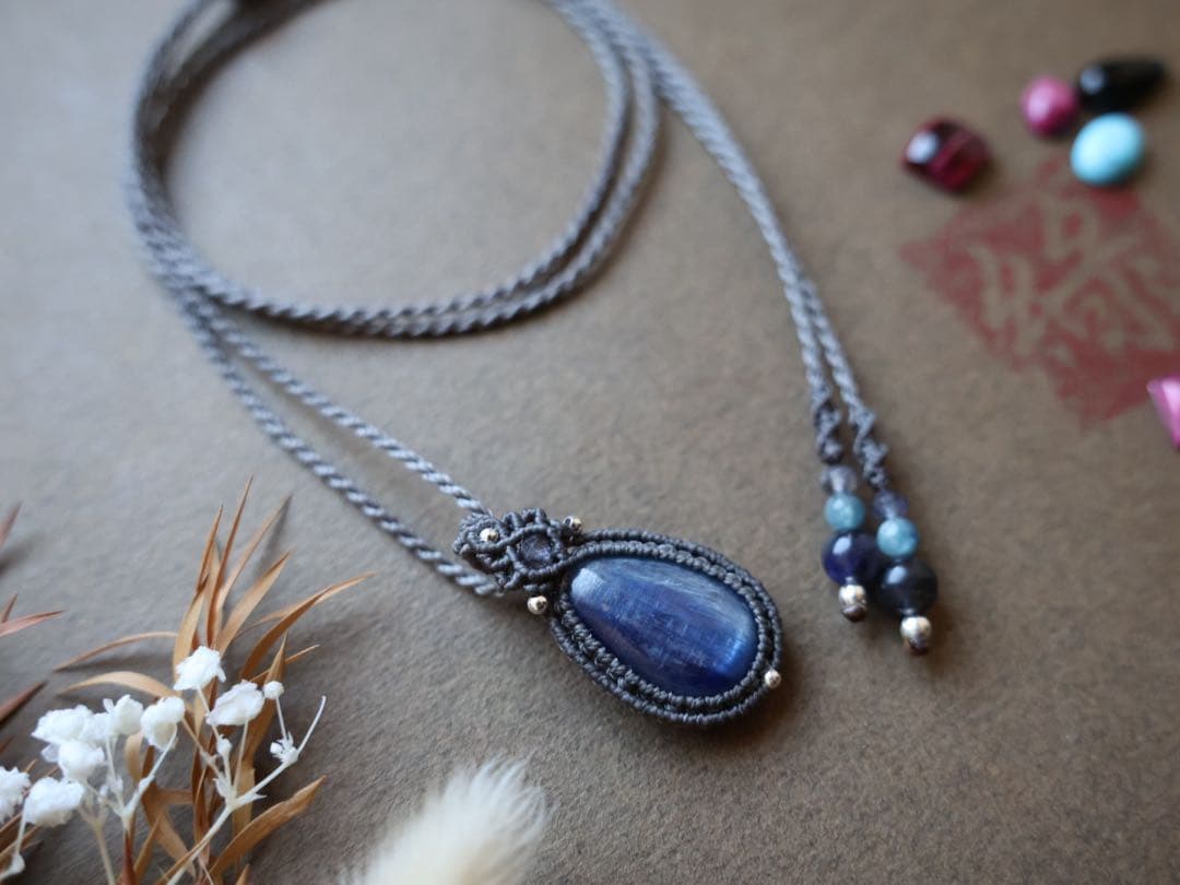 でんちゃん 11/8