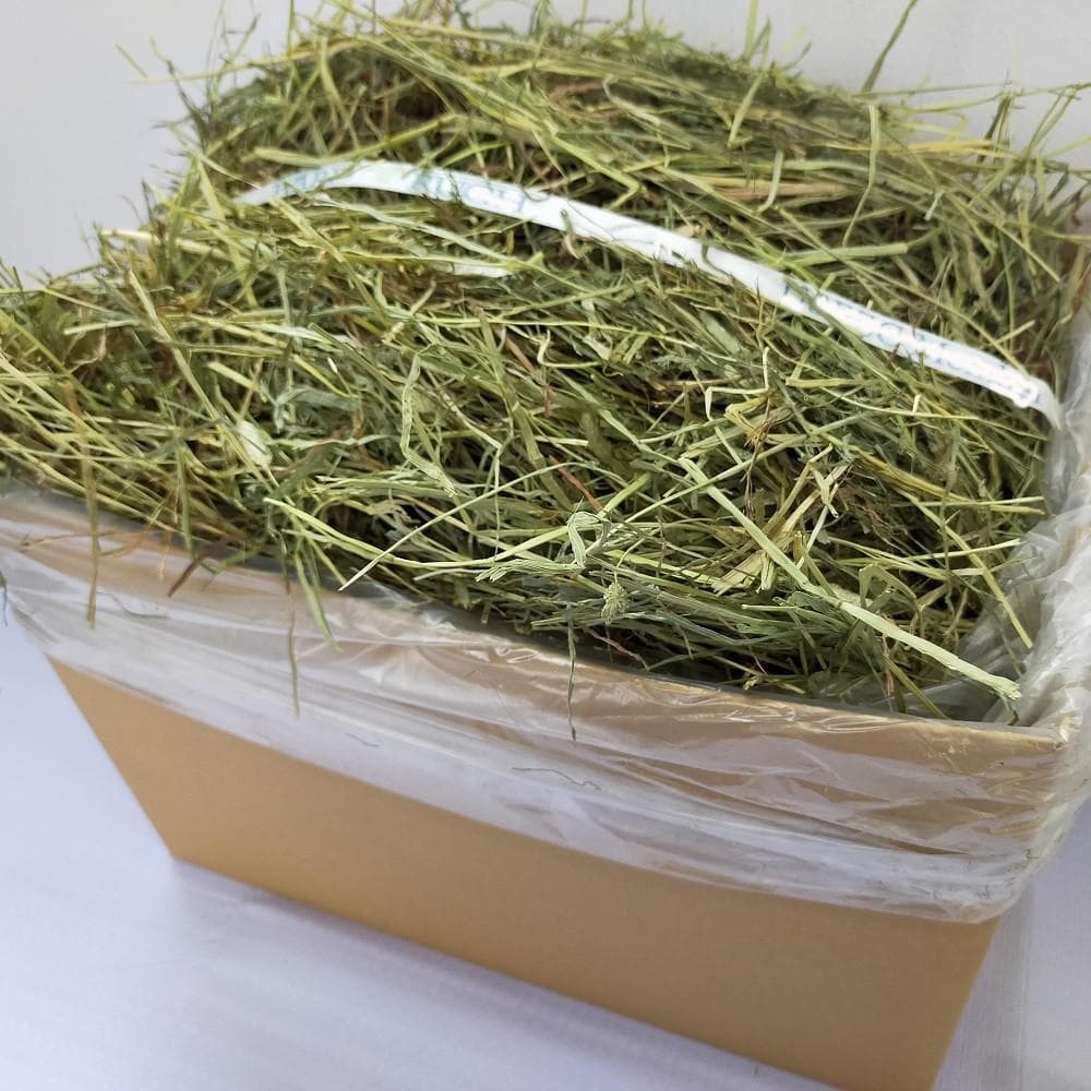 3/23まで】US産 チモシー 30kg 2番刈 ソフトSプレミアム 🎍