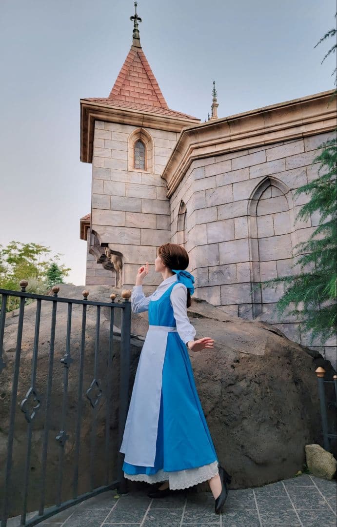 美女と野獣 ベル ウィッグ Dハロ仮装 - メルカリ