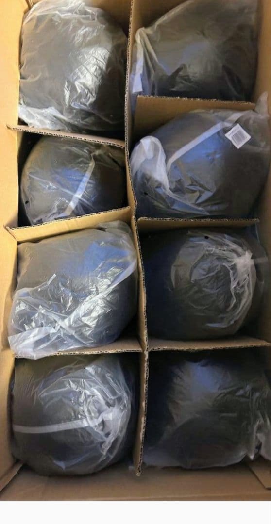 新品未使用✨】 美容師国家試験 カットウイッグ ユーロプレステージ 16