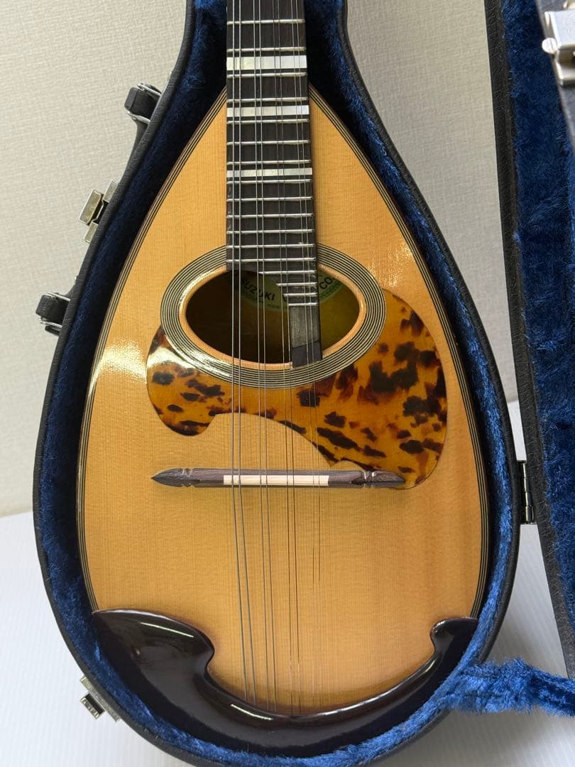 木曽鈴木 KISO SUZUKI マンドリン MR-500 - メルカリ