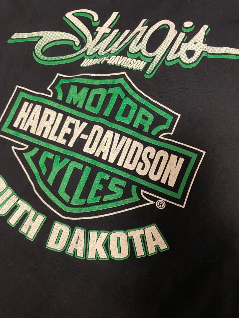 入手困難』00s ハーレーダビッドソン ヴィンテージ ロンT グリーン