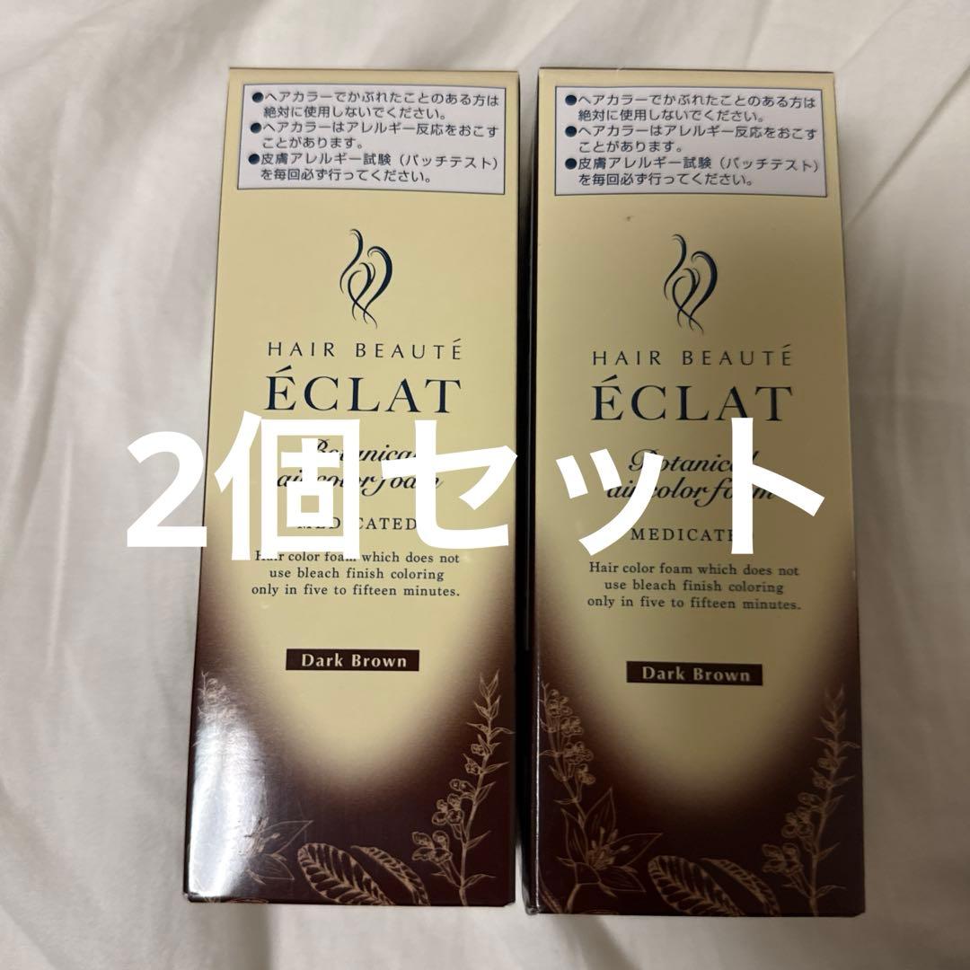 ヘアボーテ エクラ ボタニカル エアカラーフォーム ダークブラウン 2本