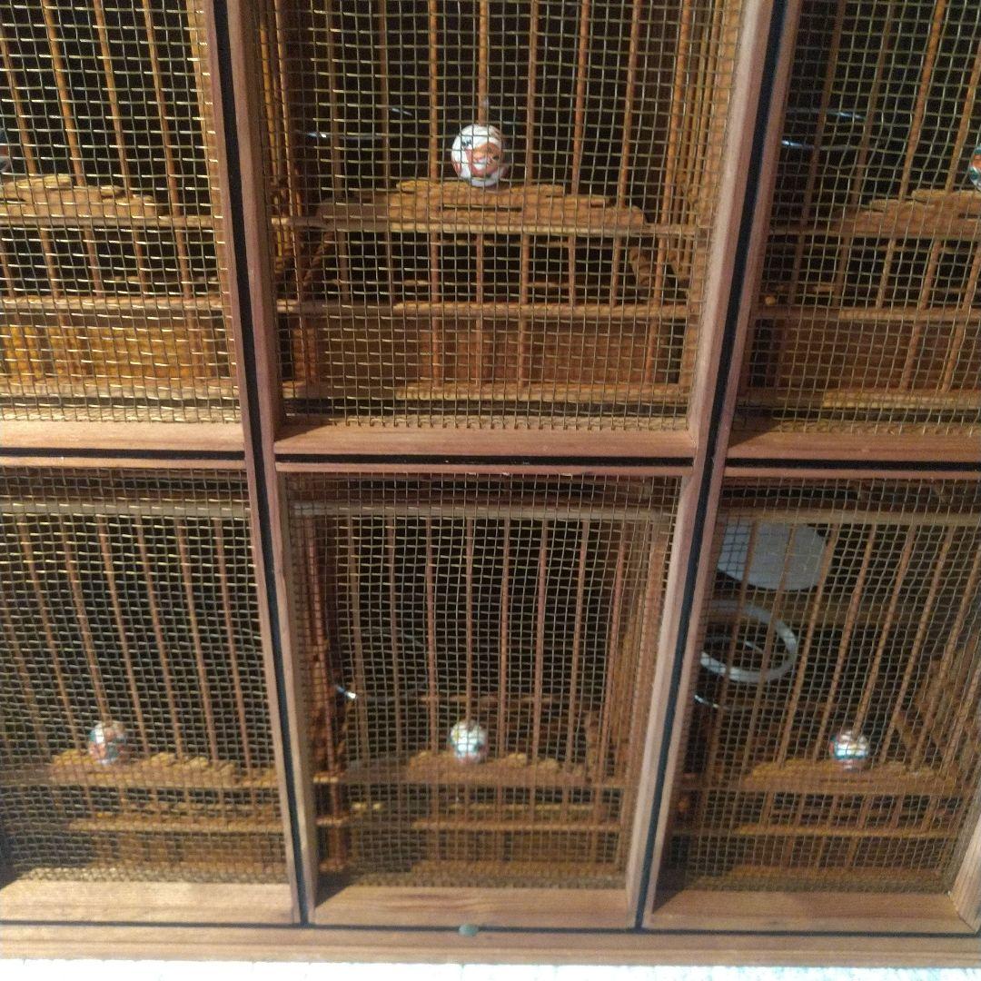 メジロ籠6個&寝かせ箱セット - メルカリ