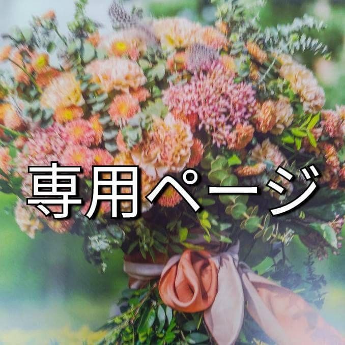 ガラピコピー 0640160035 Molex | Tools | DigiKey