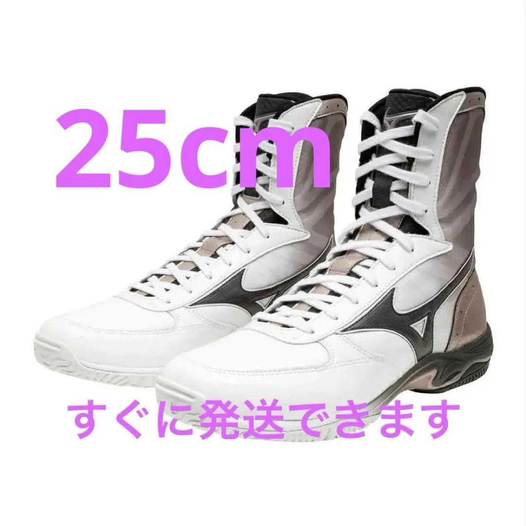 MIZUNOボクシングシューズ WAVE MONSTER - メルカリ