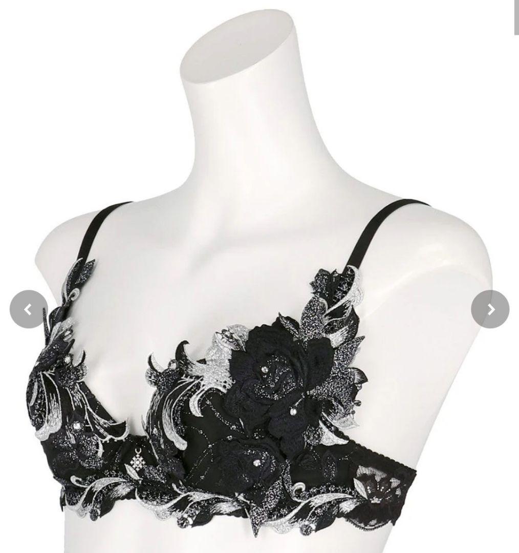 サルート 事前予約 24g ブラ&ソングセット D65/M - メルカリ