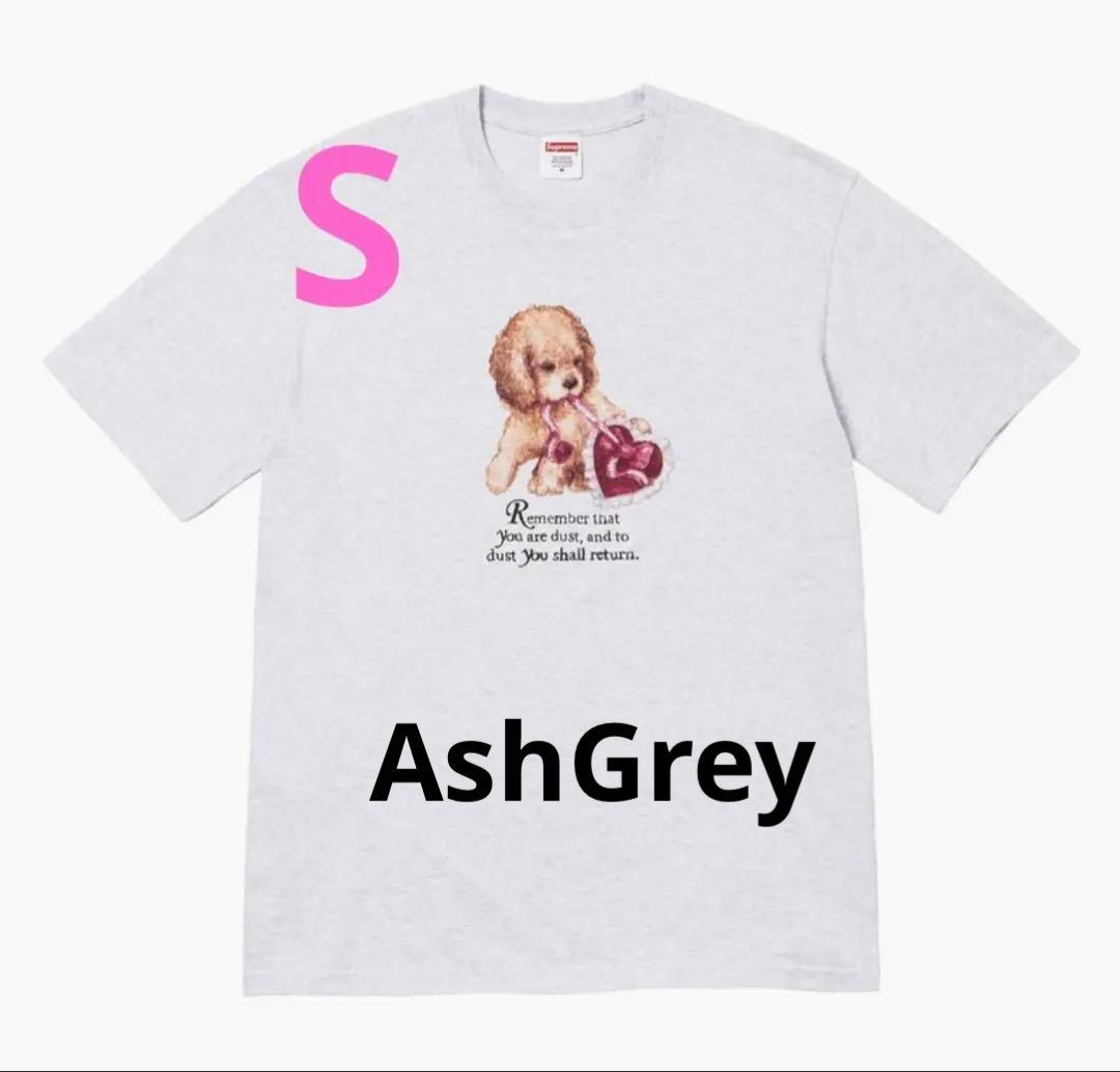 SUPREME Dust Tee Ash Grey Tシャツ サイズS Supreme Dust Tee 